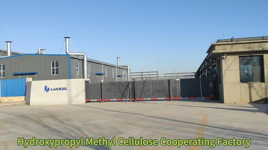 Tile Grout Additives Industry Grade HPMC Hydroxypropyl Methyl Cellulose Factory Price 