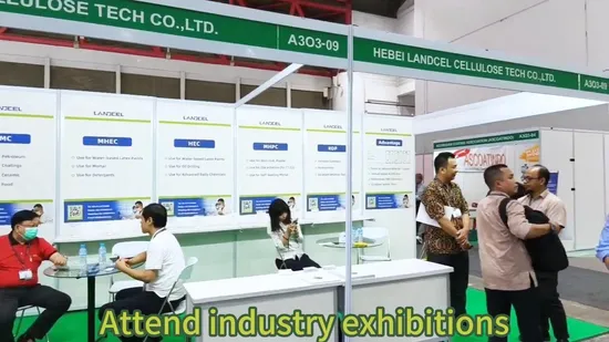 Excellent Thickener Ethyl Hydroxyethyl Cellulose Ether Ehec for Coatings HEC 